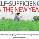 Self-Sufficiency in the New Year